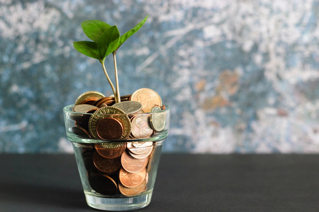Financieel vrij worden: zo bouw je rustig aan een betere toekomst
