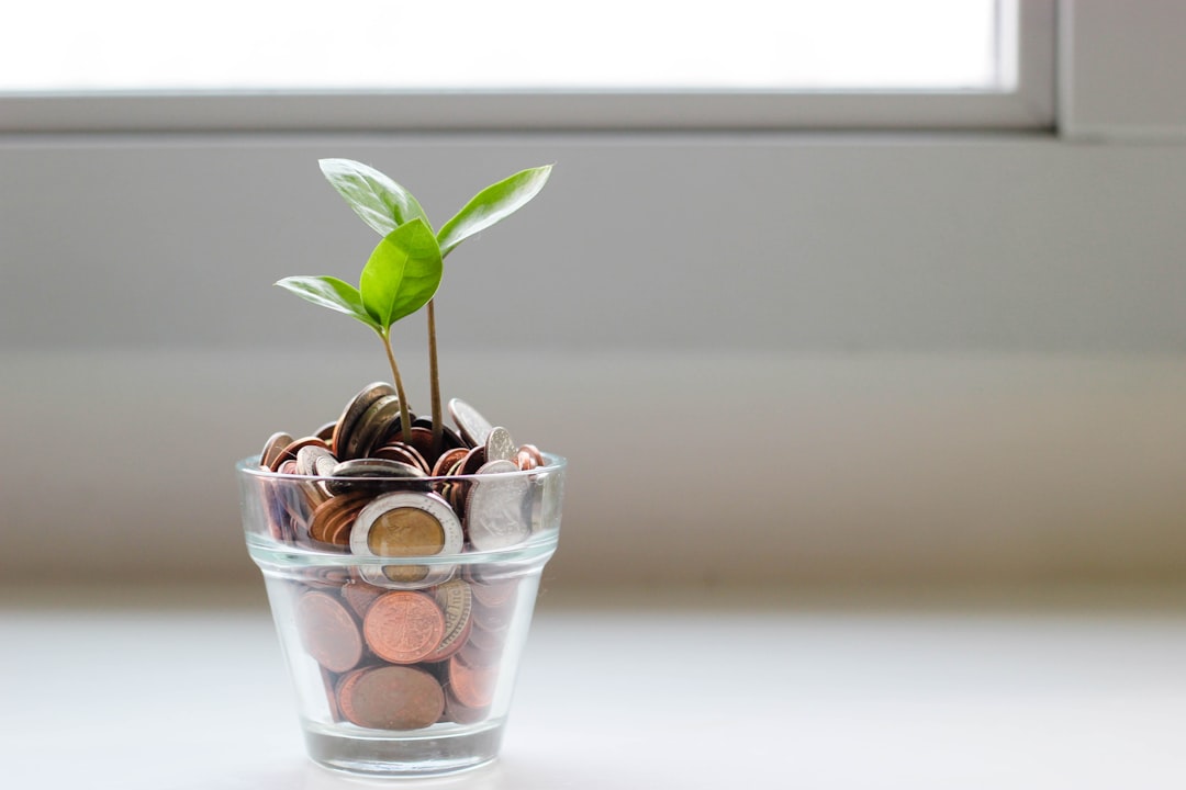 Financiële keuzes maken: zo vind je je weg in geldzaken